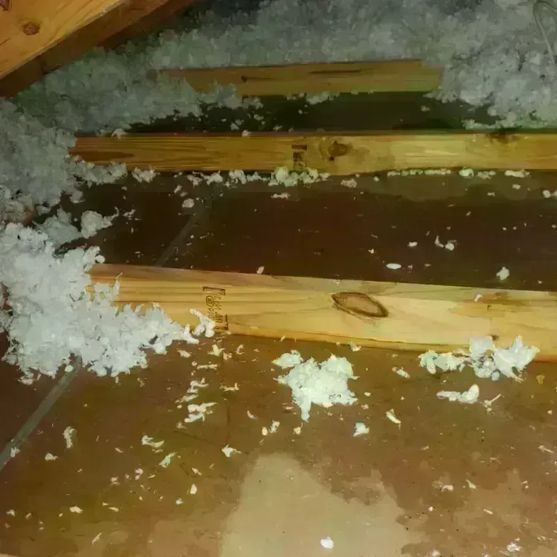 Attic Water Damage in South Beloit, IL