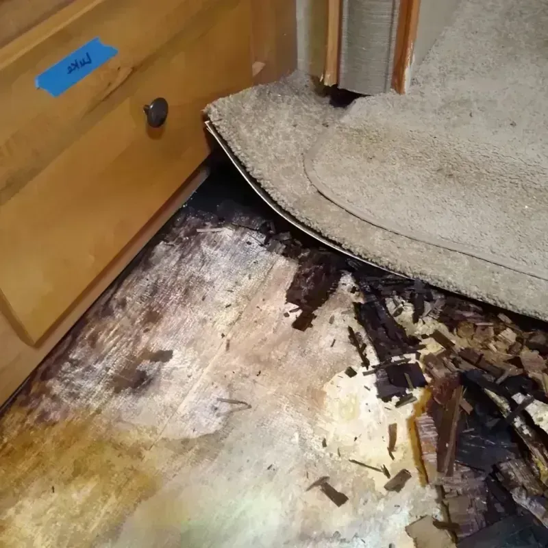 Best Wood Floor Water Damage Service in South Beloit, IL